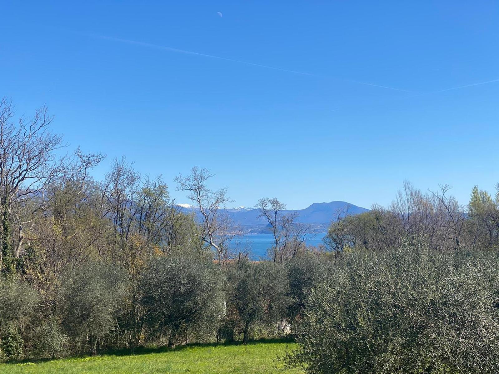 The Flowers - Apartments With Private Garden In Residence With Pool Manerba del Garda Zewnętrze zdjęcie